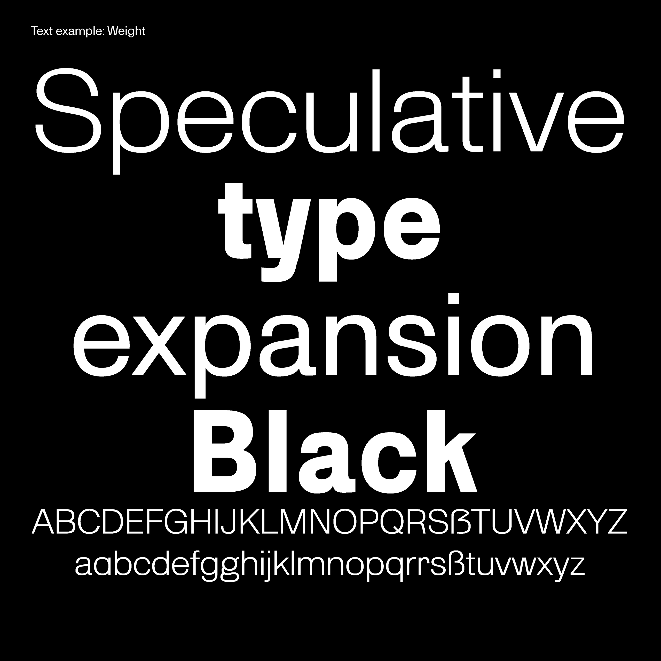 Daniel-Stuhlpfarrer_typedesign_graphicdesign_custom-font_custom-typeface_typography_projects_Speculative-type-design_08