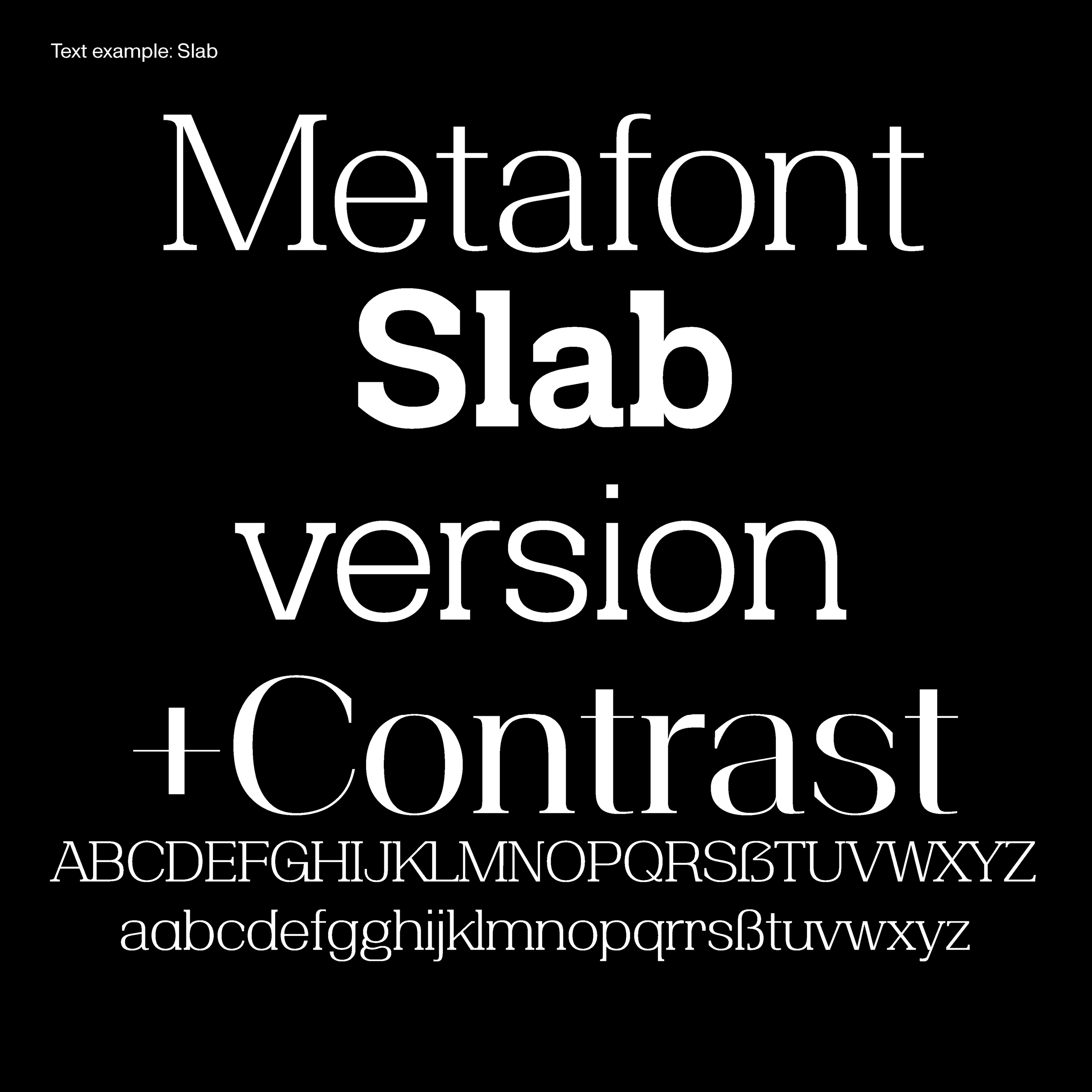 Daniel-Stuhlpfarrer_typedesign_graphicdesign_custom-font_custom-typeface_typography_projects_Speculative-type-design_10