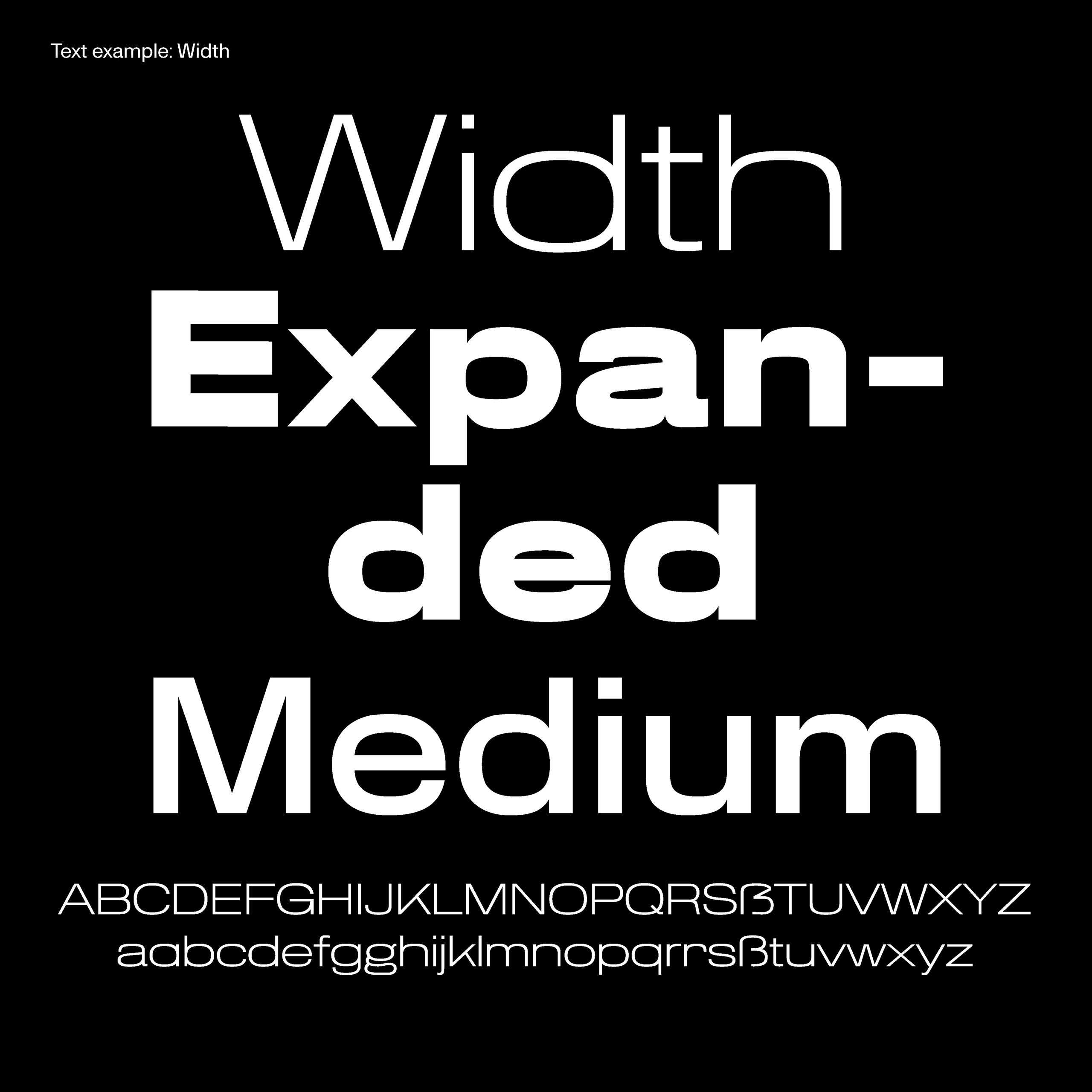 Daniel-Stuhlpfarrer_typedesign_graphicdesign_custom-font_custom-typeface_typography_projects_Speculative-type-design_11