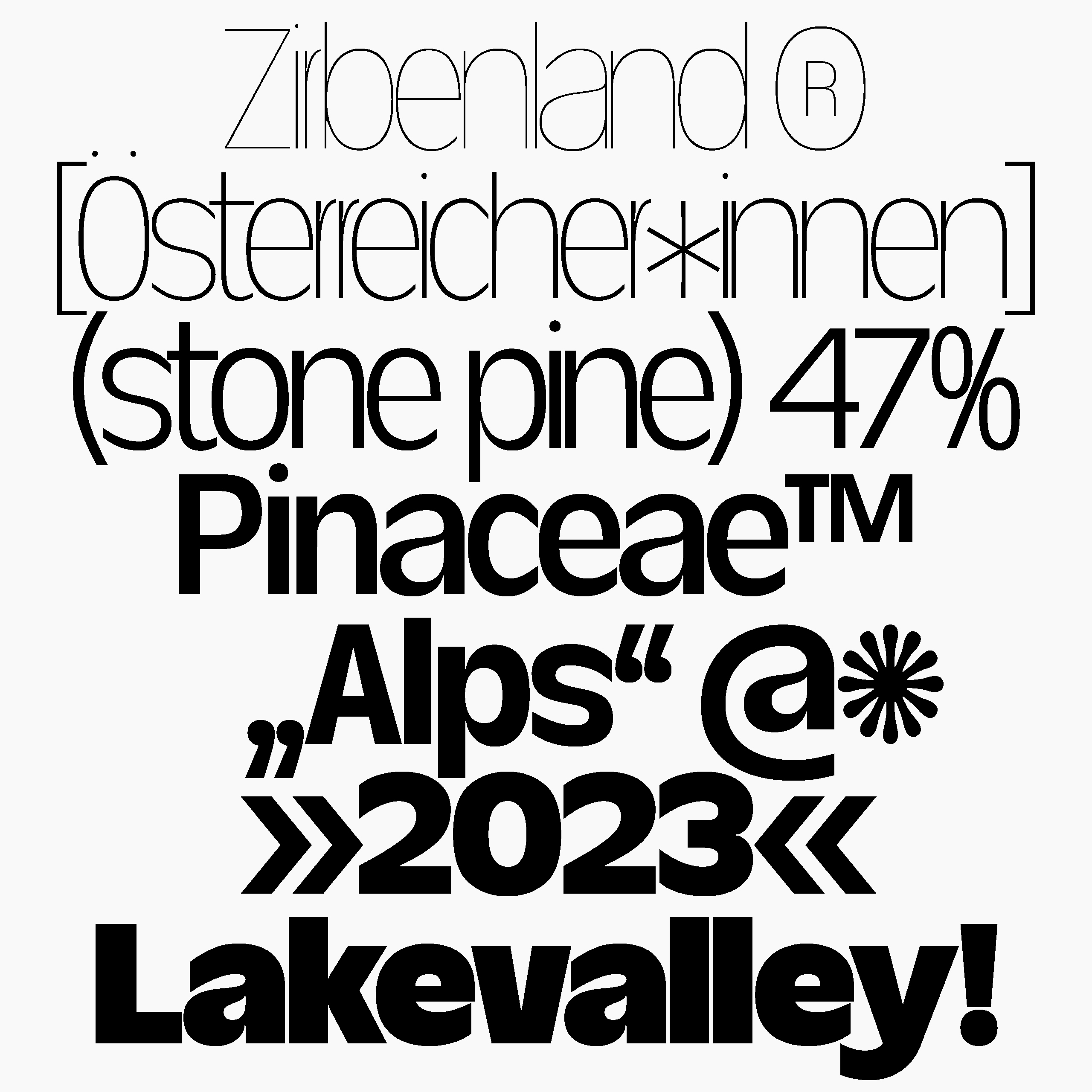 Daniel-Stuhlpfarrer_typedesign_graphicdesign_custom-font_custom-typeface_typography_ds-zirbal-1
